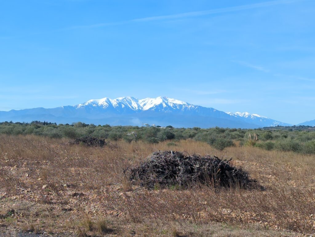 Atelier Innerlé img 20260222 110021 223