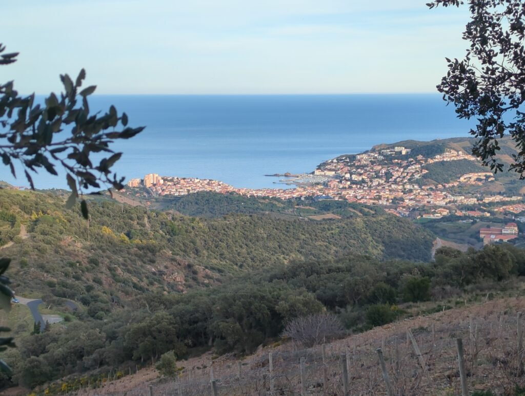 Atelier Innerlé img 20260222 172440 071